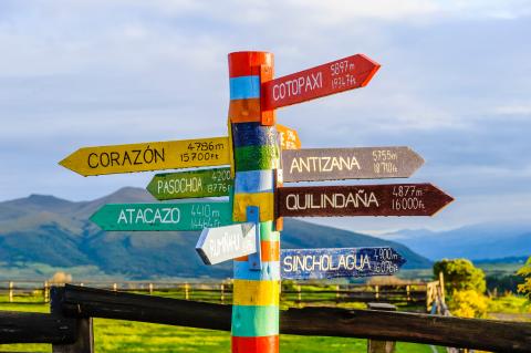 multicoloured signpost