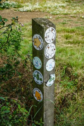 image of a public footpath signpost