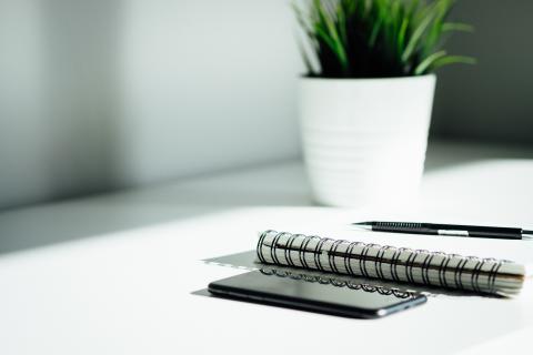 Notepad, pen, mobile phone on desk with plant