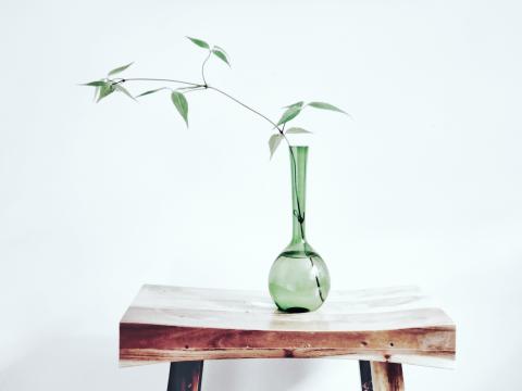 vase on table with leafy cutting